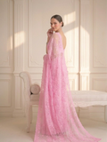 Blush Pink Stripe Lace Saree with Sequin and Blouse Fabric
